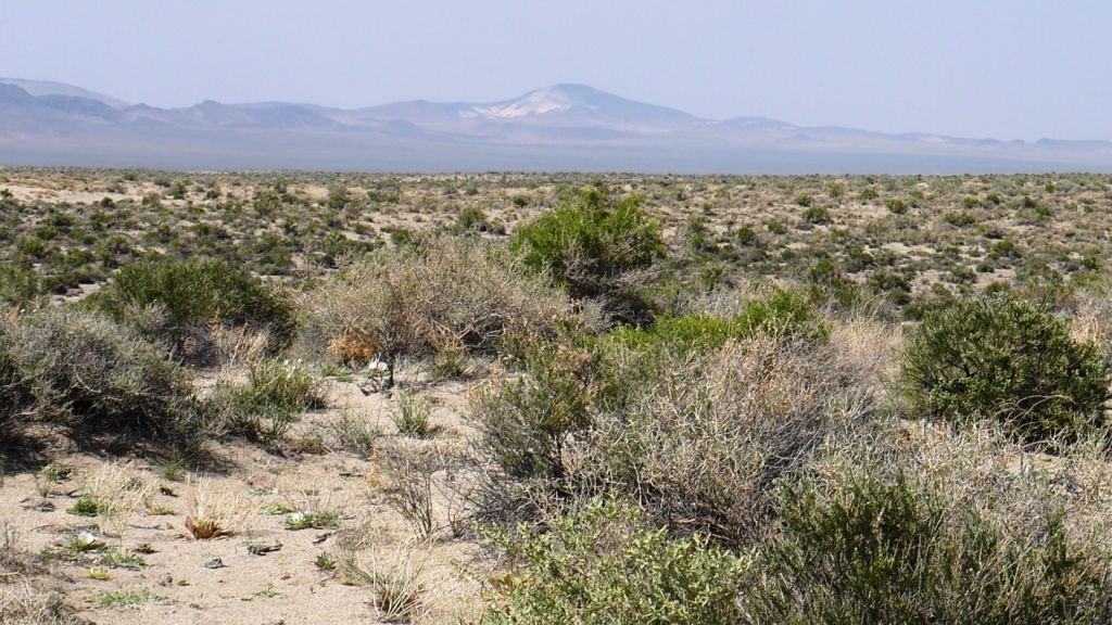 Churchill county Nevada real estae land