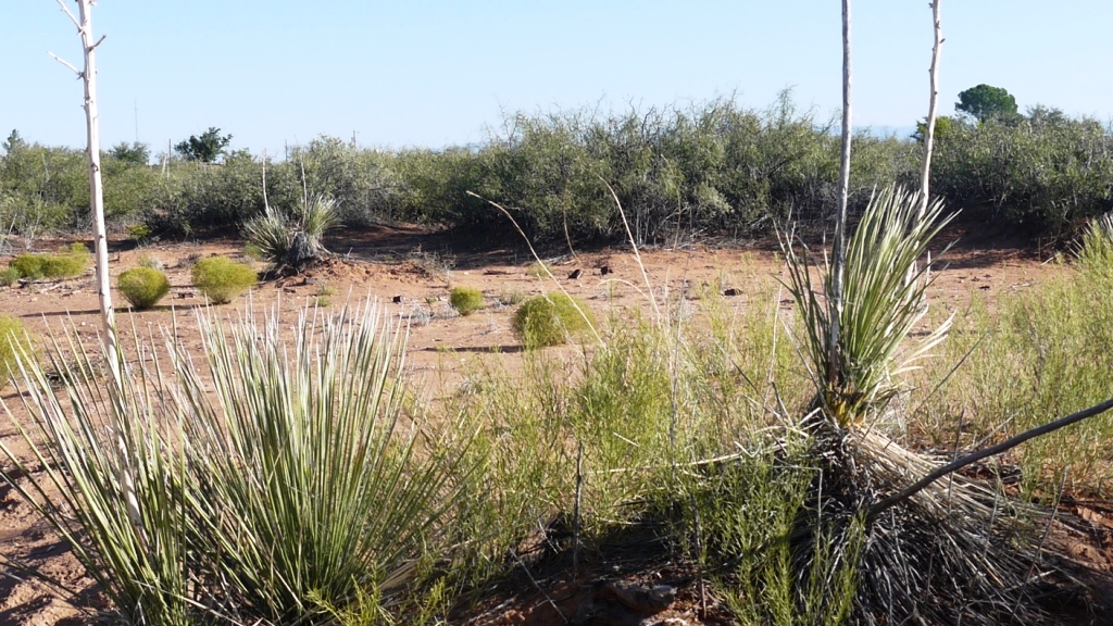 Oro Grande new mexico pictures