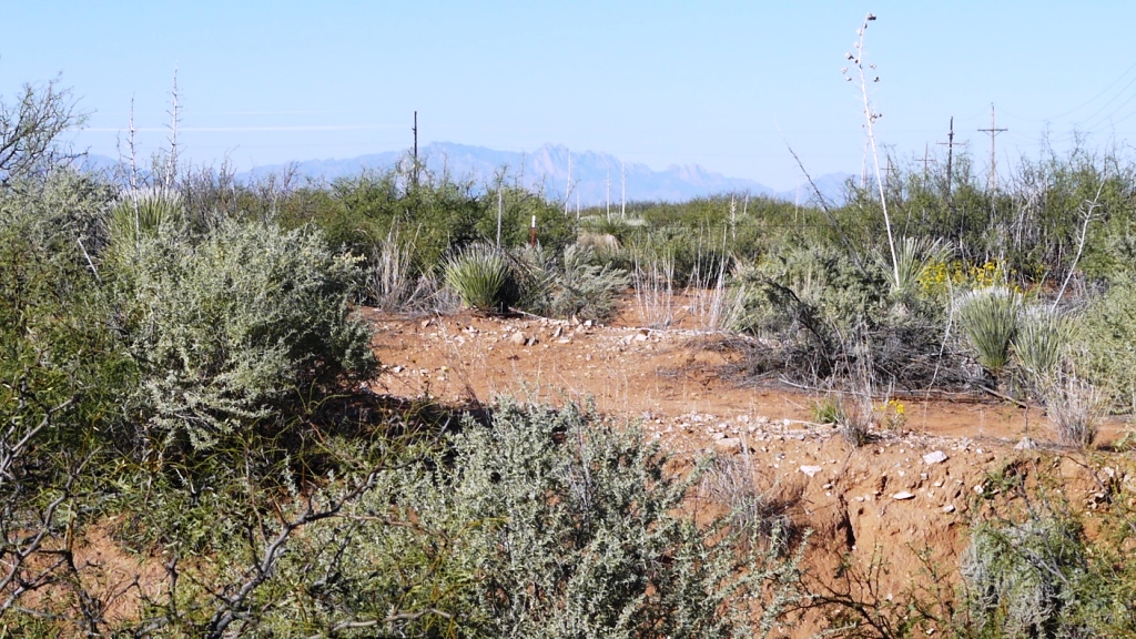 Oro Grande new mexico pictures