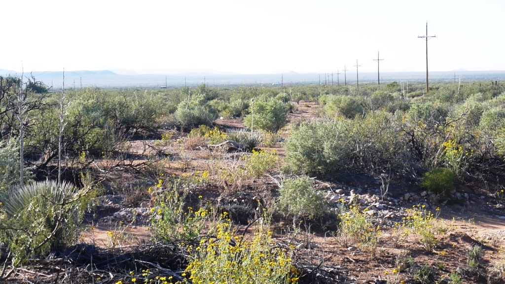 Oro Grande new mexico pictures