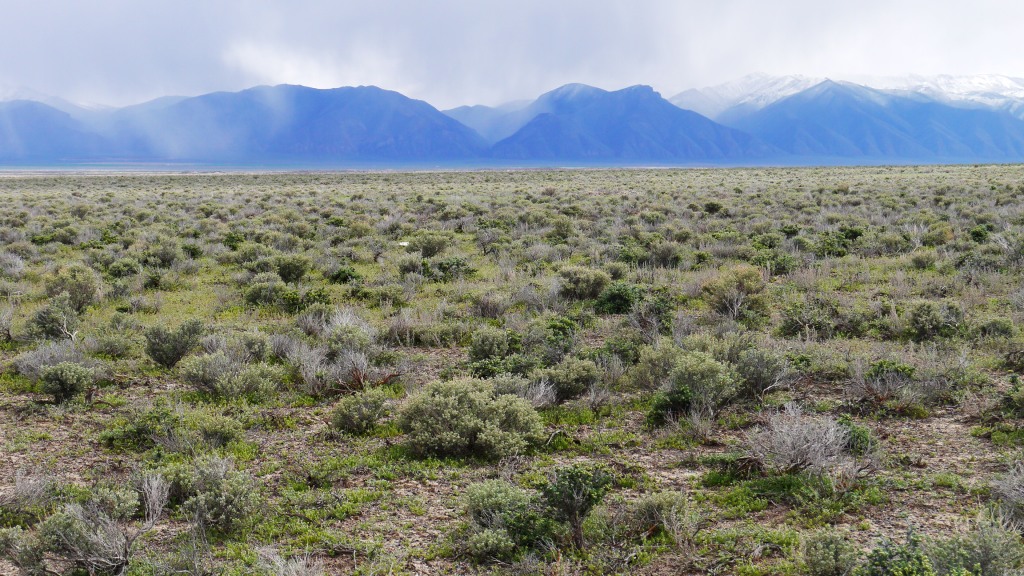 Crescent Valley Eureka County Nevada land