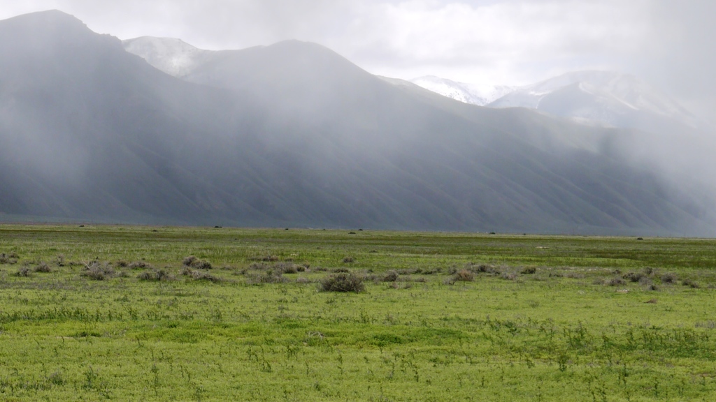 Crescent Valley Eureka County Nevada land
