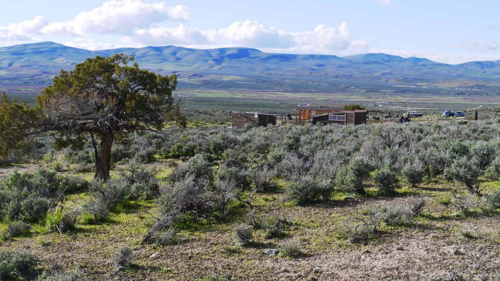 Elko Nevada land for sale