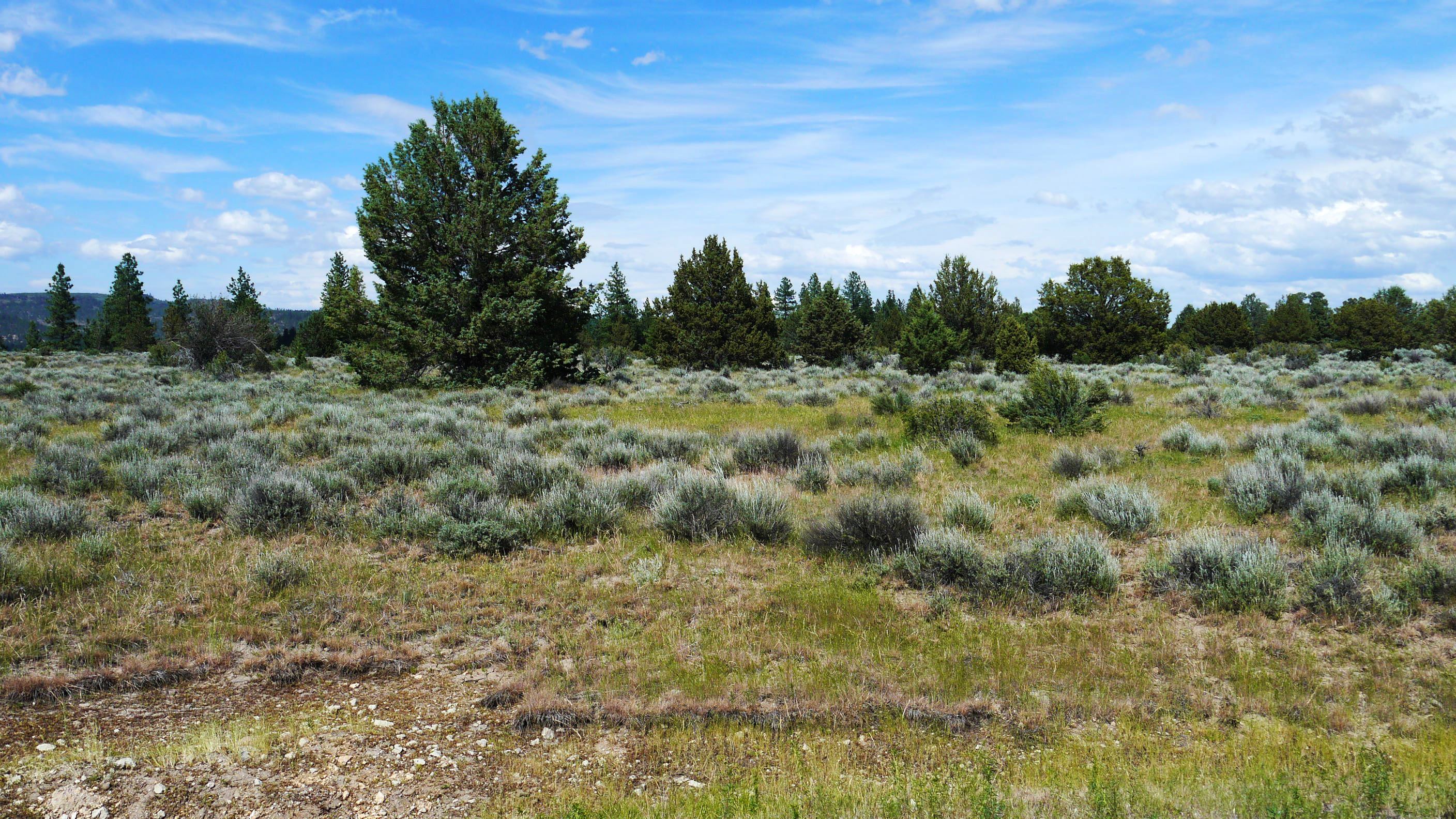 Klamath County Oregon land for sale real estate
