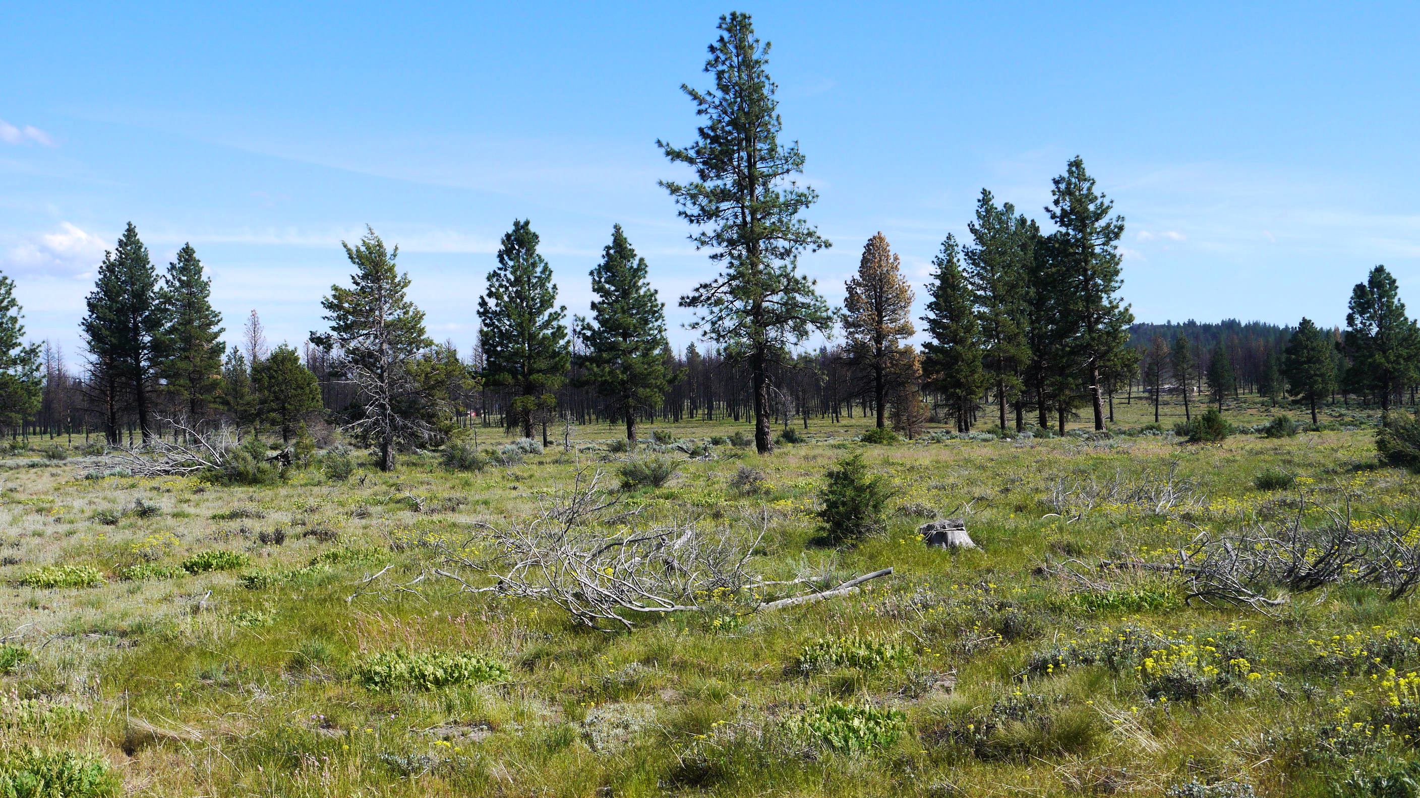 Klamath County Oregon land for sale real estate
