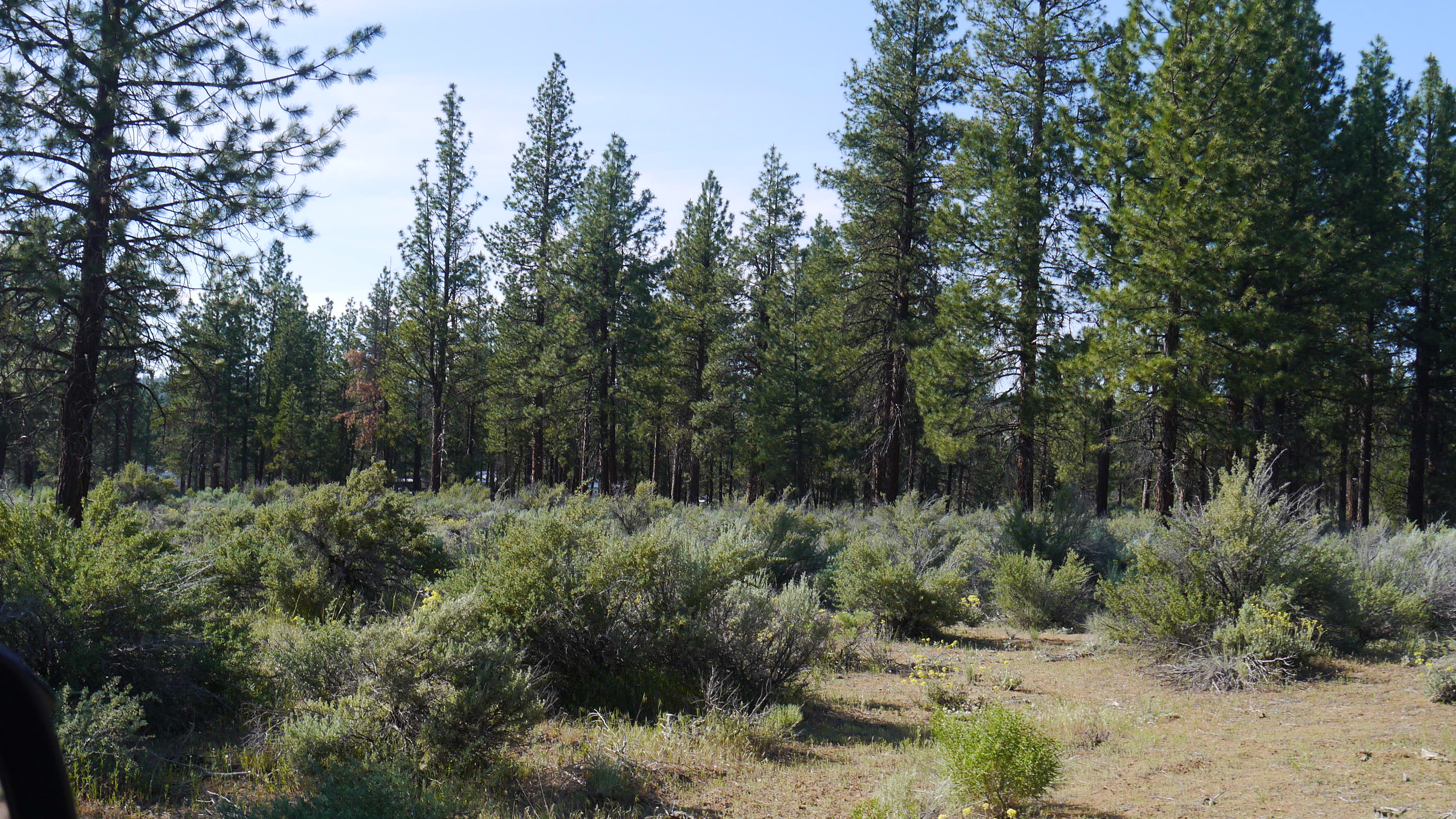 Klamath County Oregon land for sale real estate