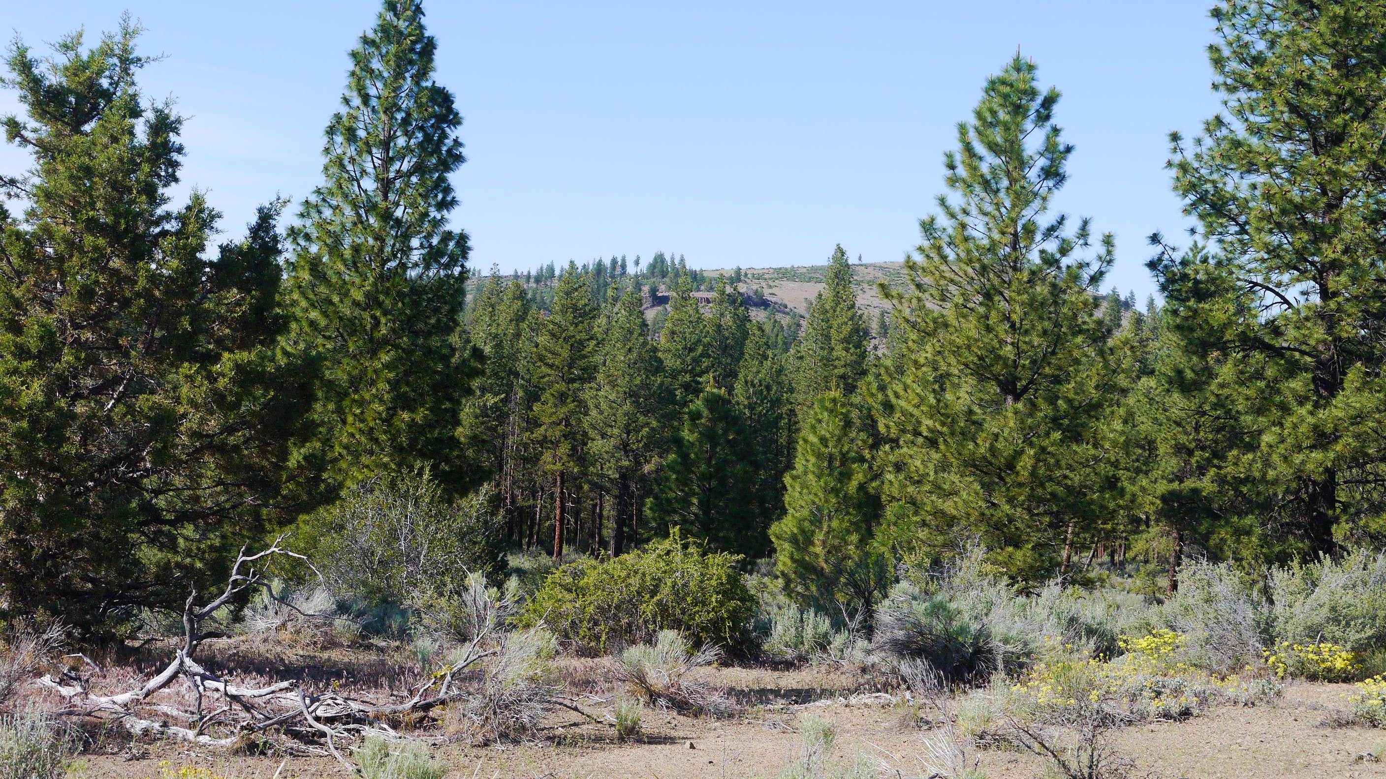 Klamath County Oregon land for sale real estate