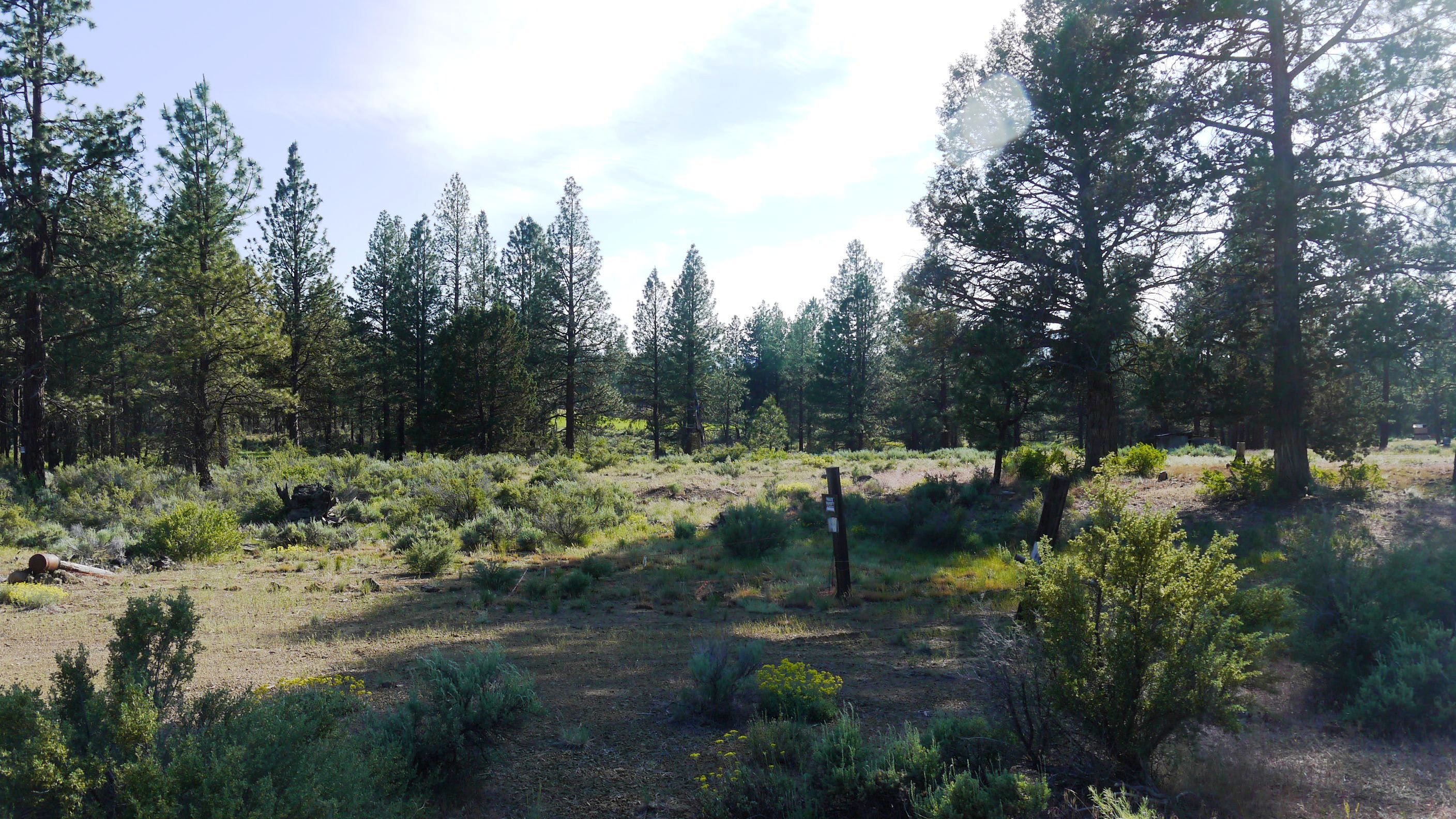 Klamath County Oregon land for sale real estate