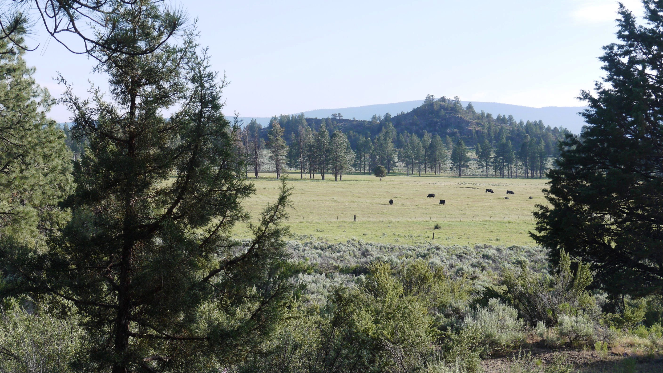 Klamath County Oregon land for sale real estate