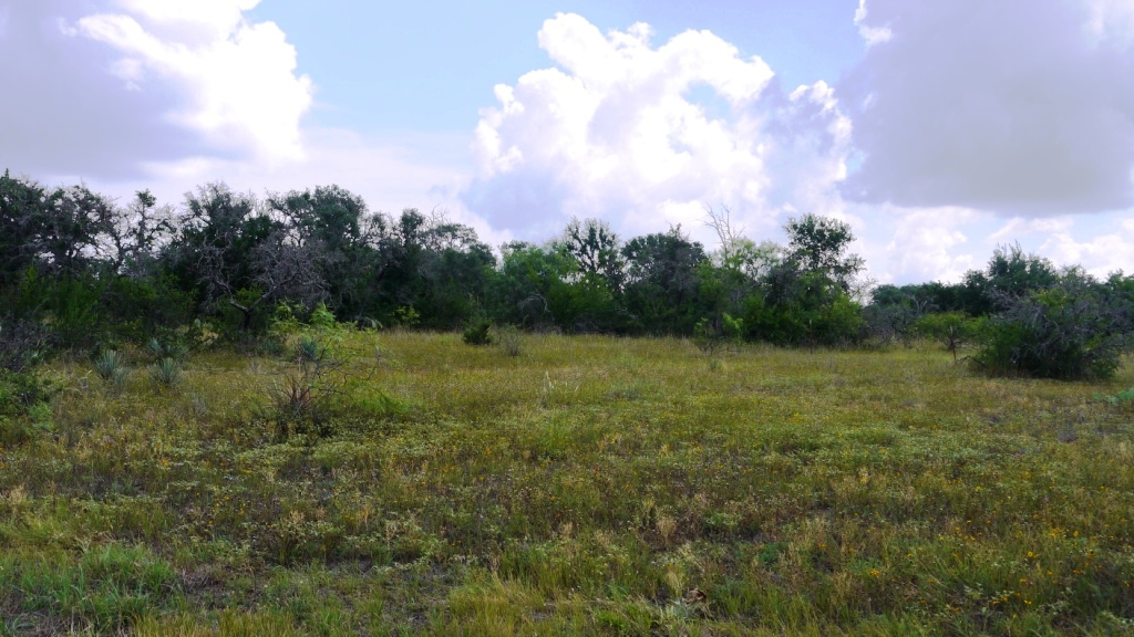 BACK TO Brown County LAND PAGE