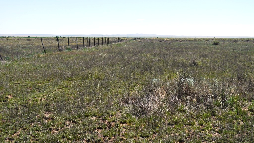 Estancia new mexico land for sale