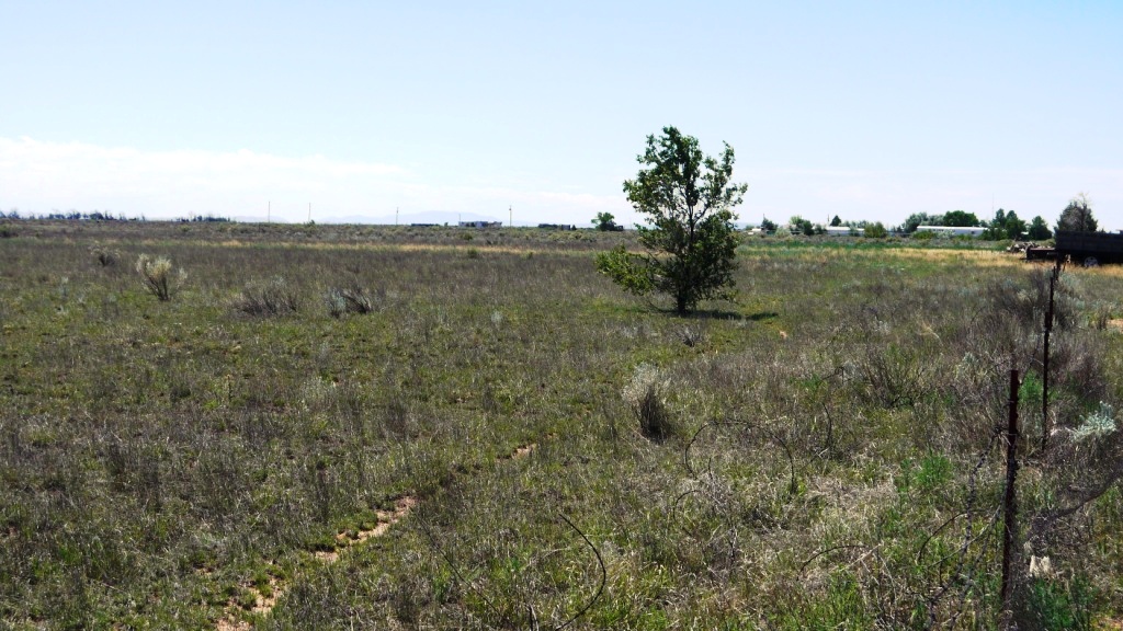Estancia new mexico land for sale
