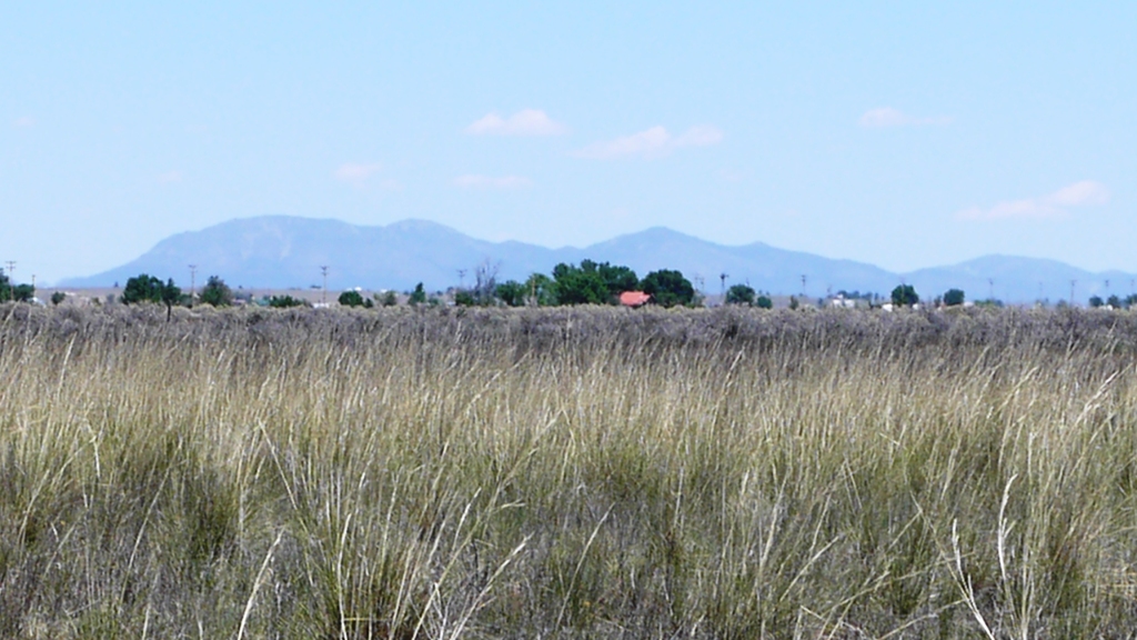 Estancia new mexico land for sale