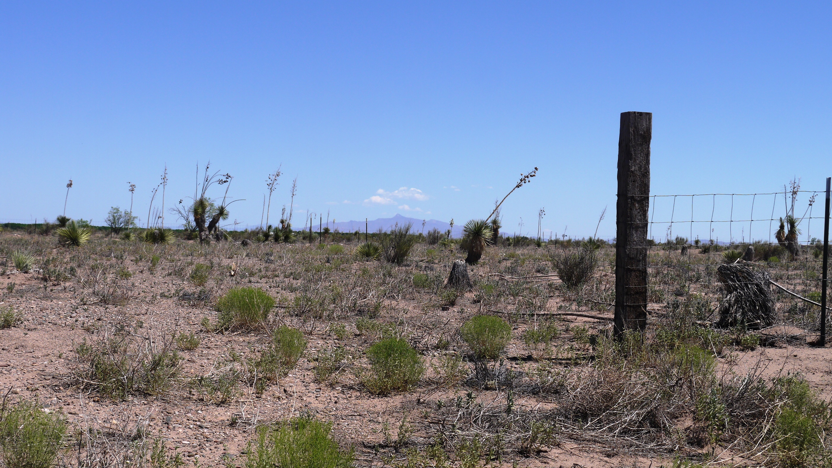 Deming Ranchettes New Mexico