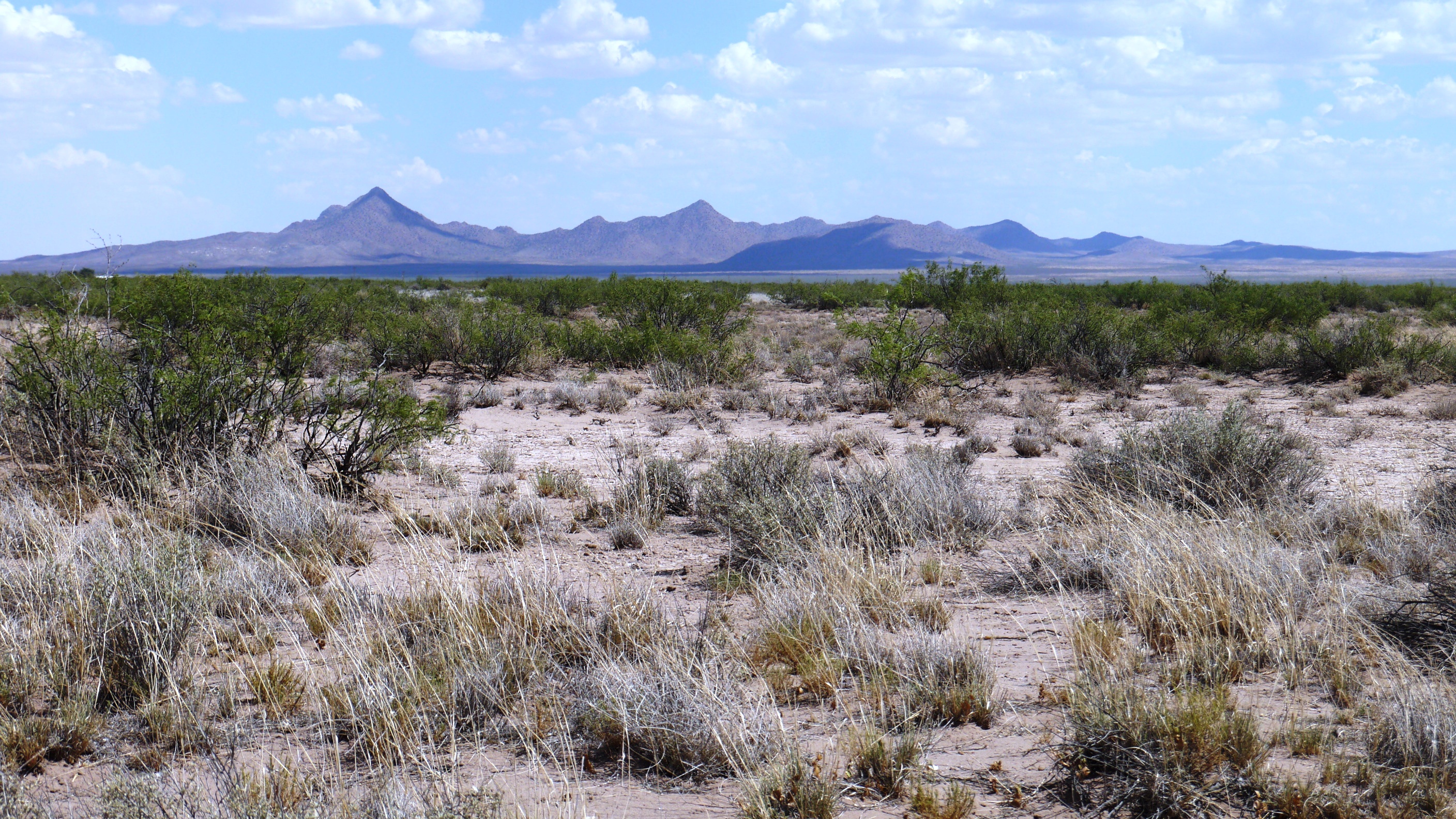 Deming Ranchettes New Mexico