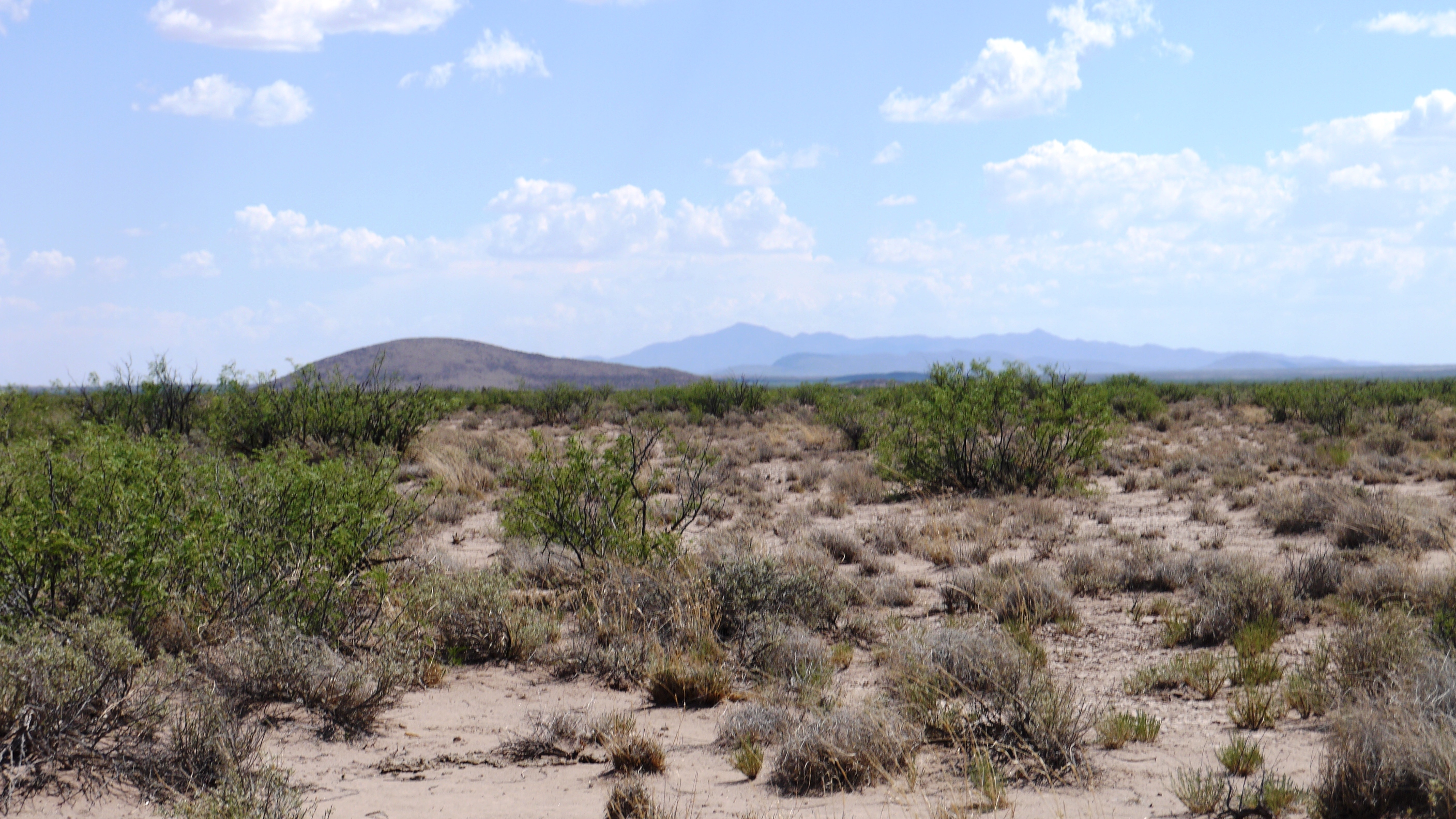 Deming Ranchettes New Mexico