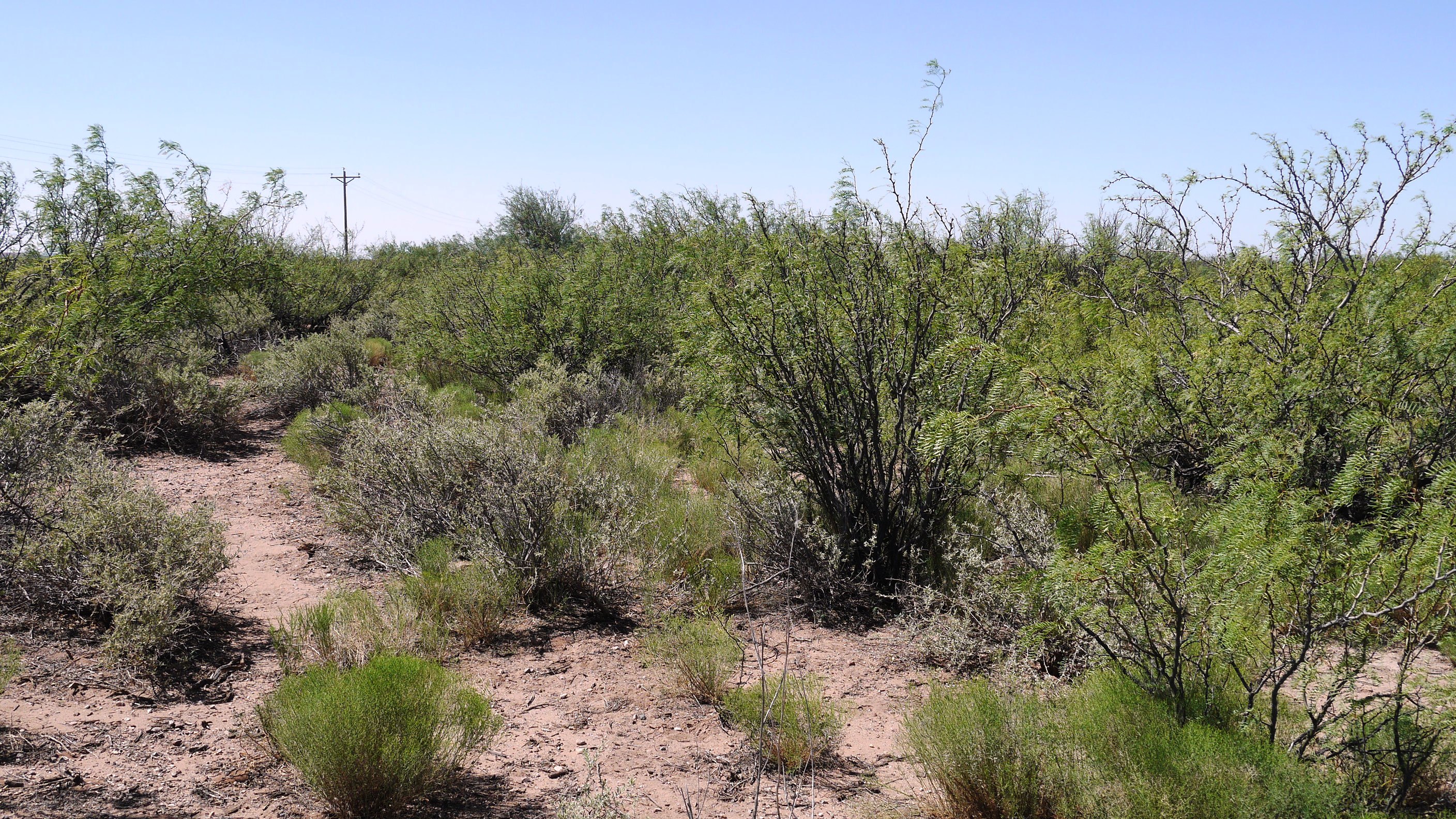 Deming Ranchettes New Mexico