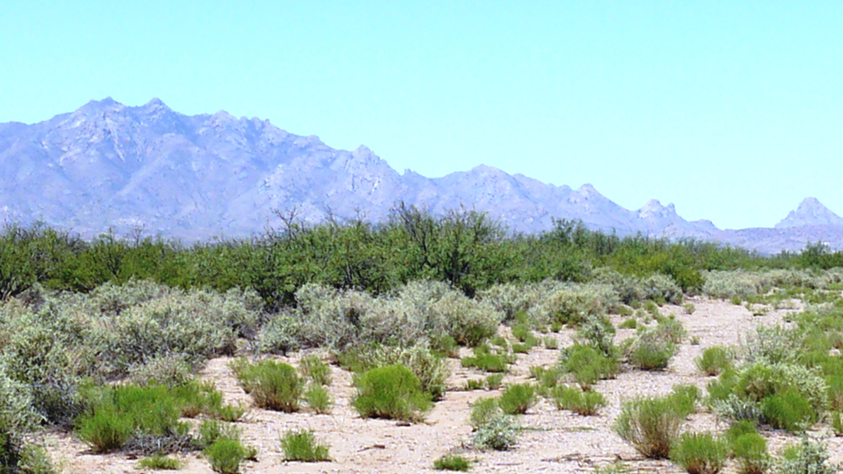 Deming Ranchettes New Mexico