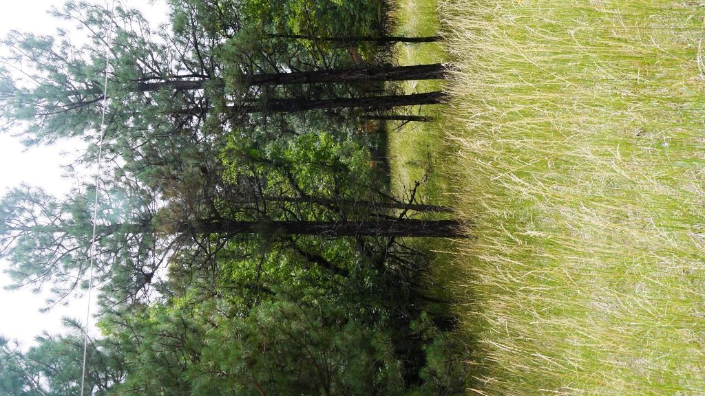 Cloudcroft land lot for sale