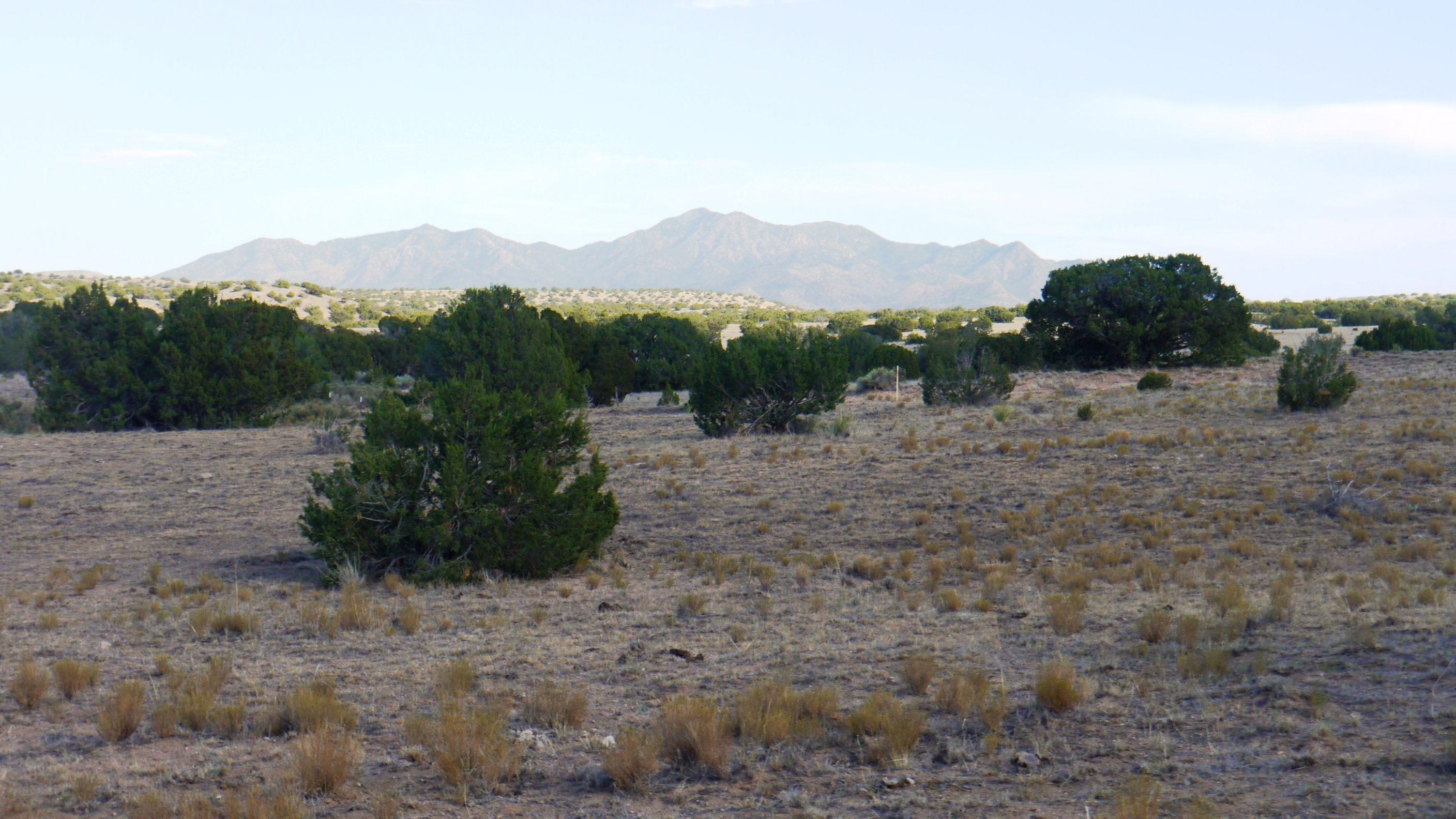 Budaghers Bernalillo New Mexico land