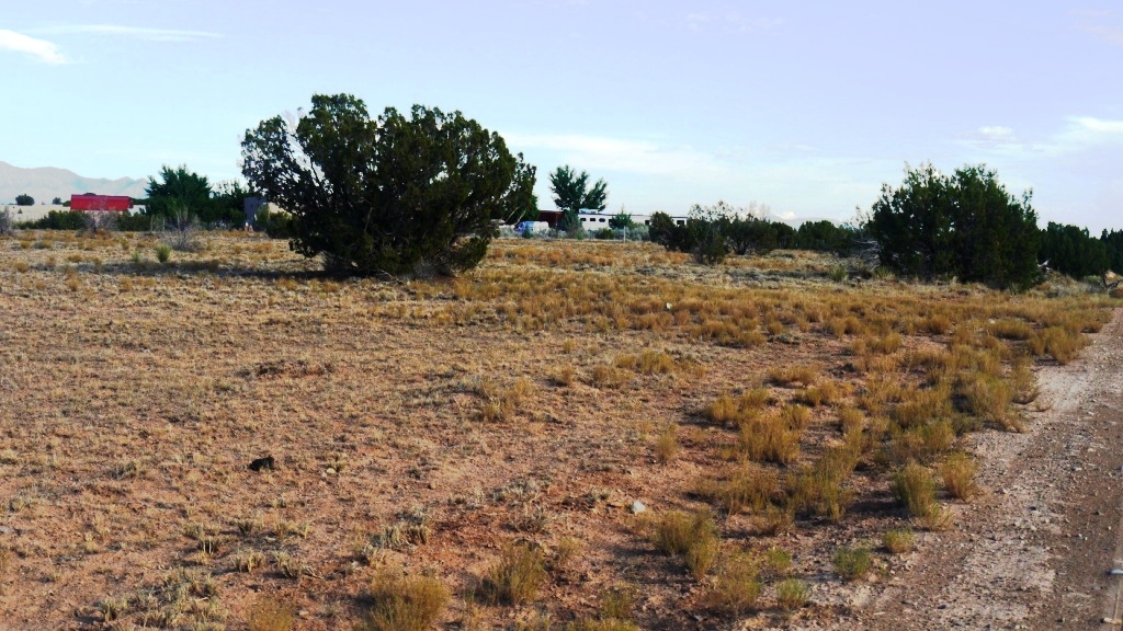 Budaghers Bernalillo New Mexico land