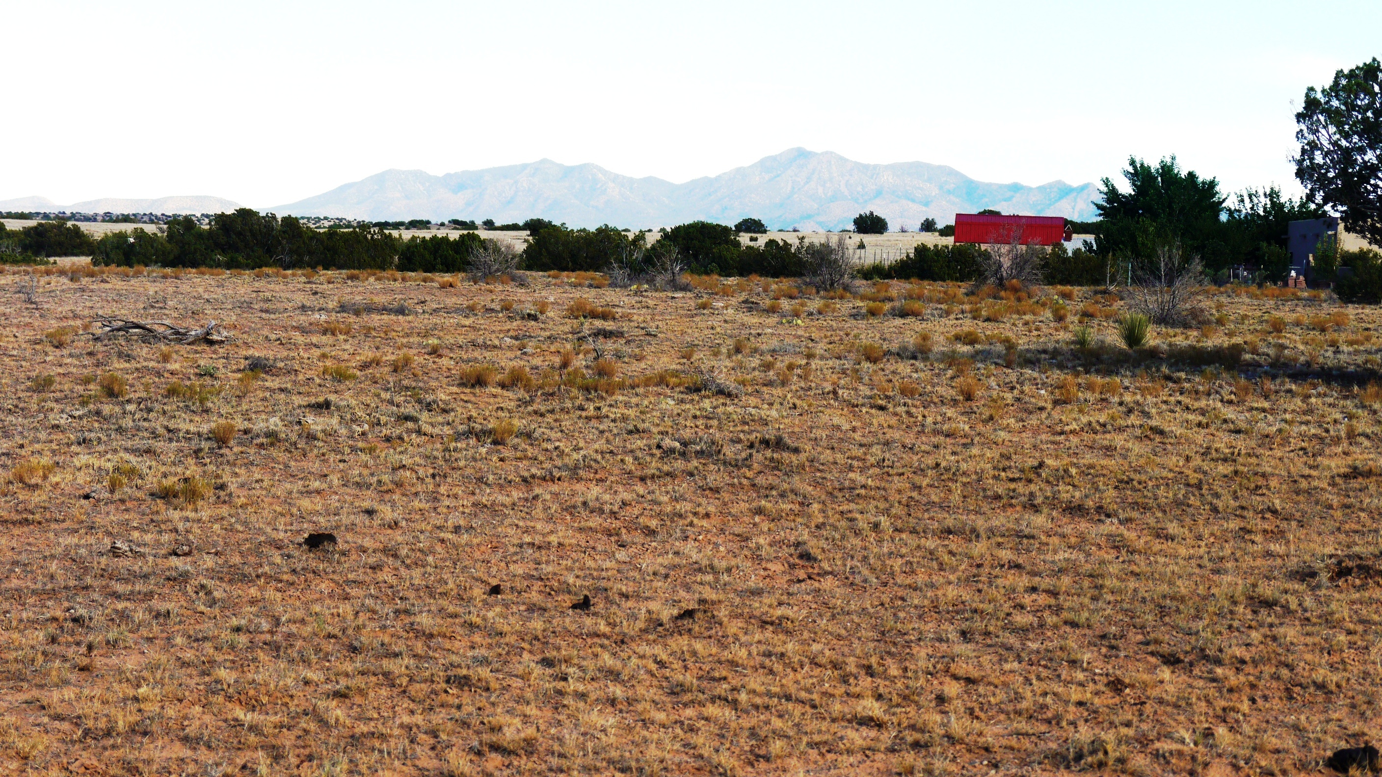 Budaghers Bernalillo New Mexico land
