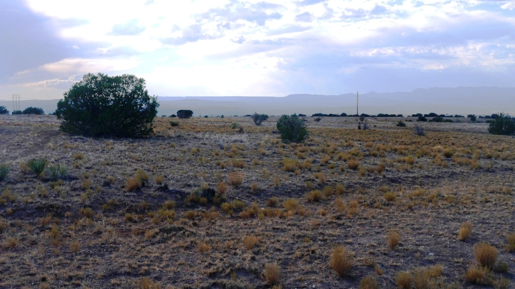 Budaghers Bernalillo New Mexico land