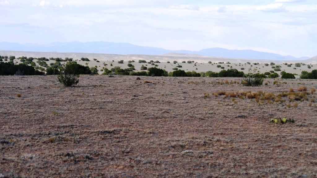 Budaghers Bernalillo New Mexico land