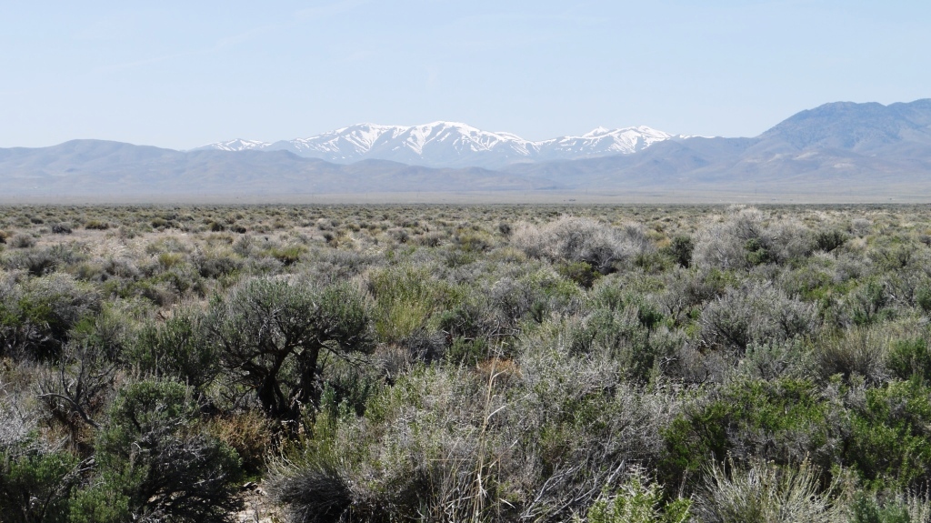 Crescent Valley Eureka County Nevada land