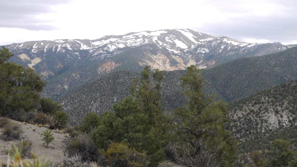 Mineral county Nevada Lucky Boy pass land for sale