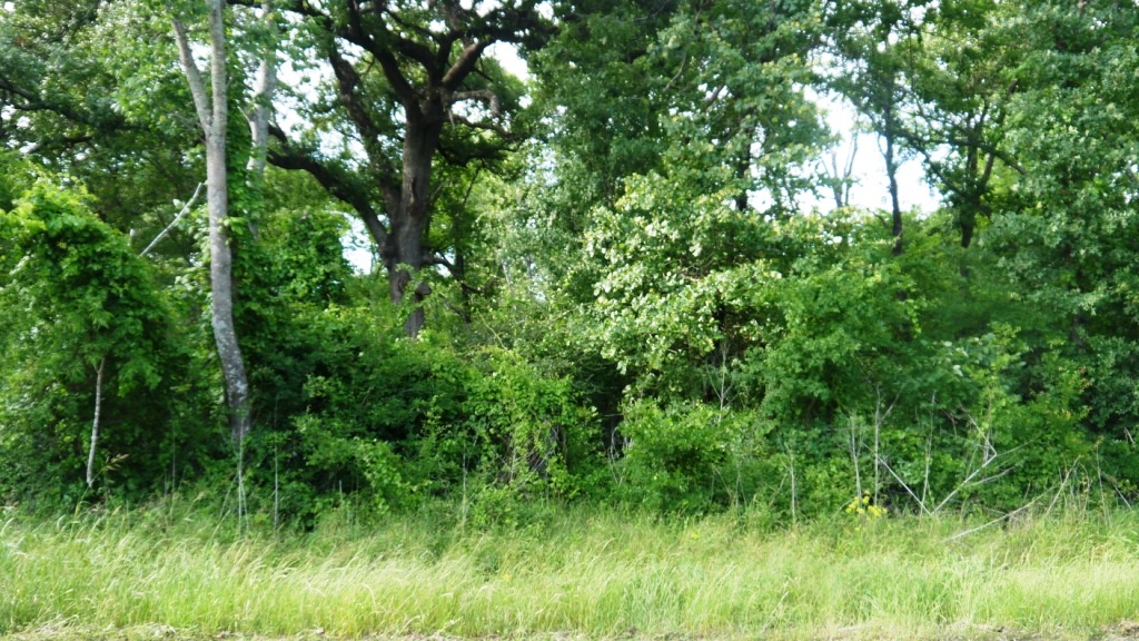 Athens texas land for sale cedar creek lake
