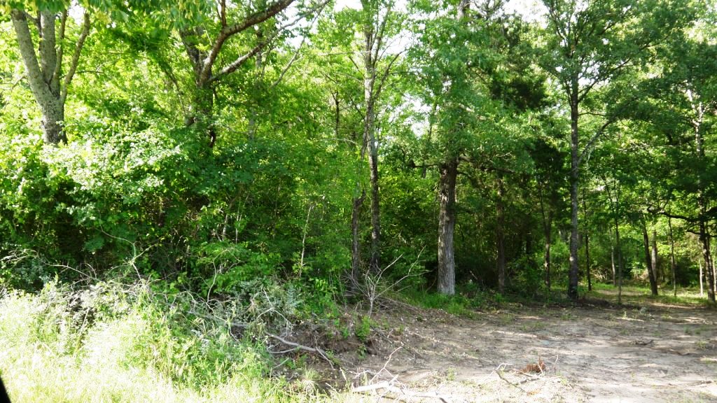 Athens texas land for sale cedar creek lake