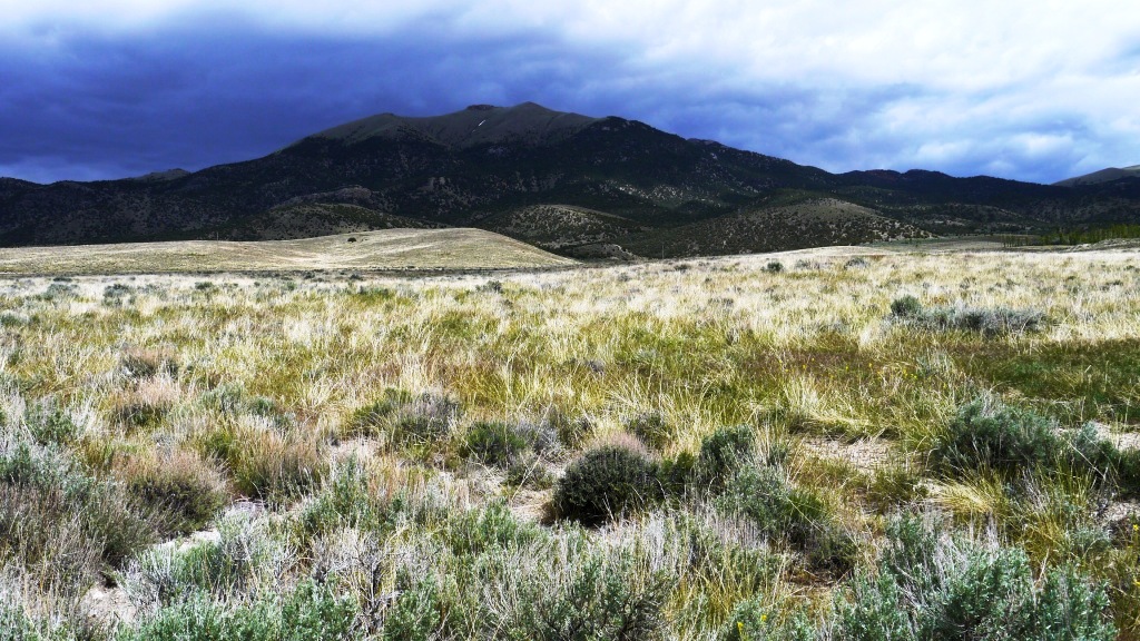 Montello Elko Nevada land for sale