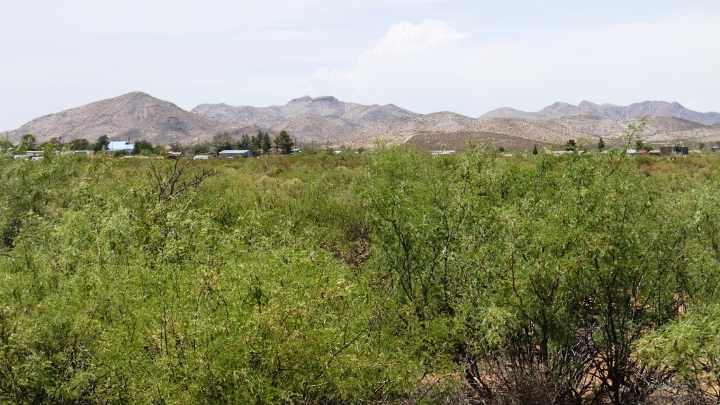 Oro Grande new mexico pictures