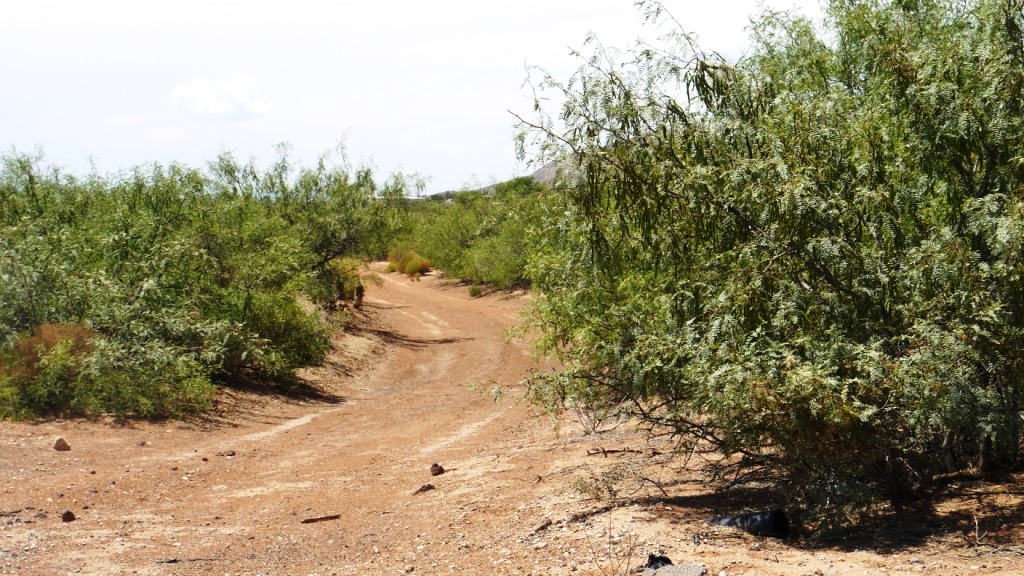 Oro Grande new mexico pictures