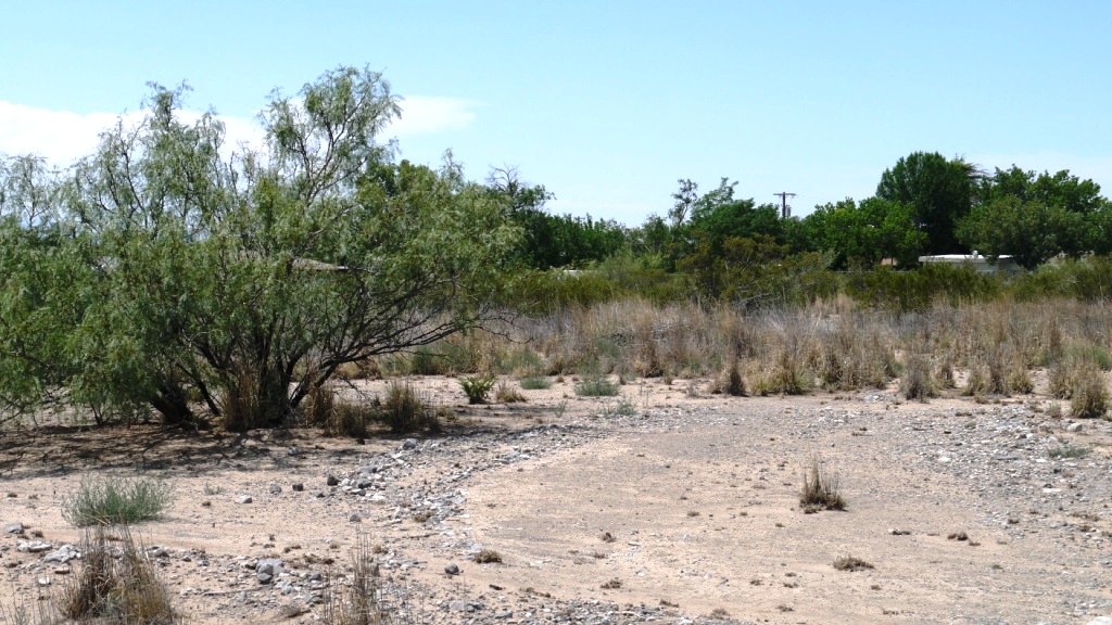 Alamogordo New Mexico Land Lots