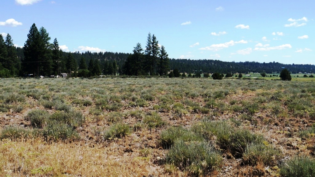 Town of Sprague river lots for sale