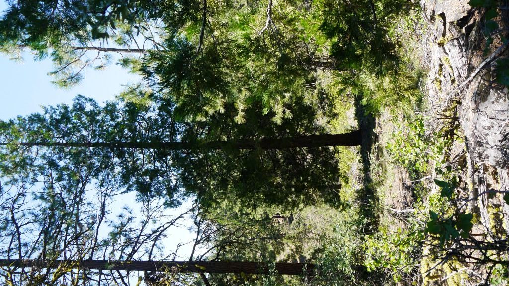 Klamath County Oregon land for sale real estate