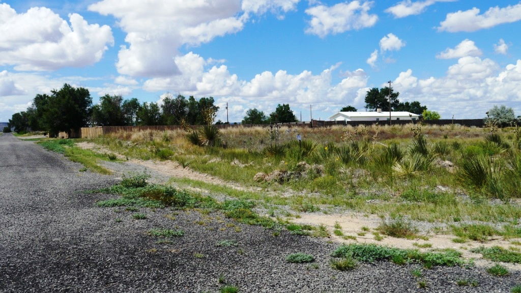 Willard Town lot for sale