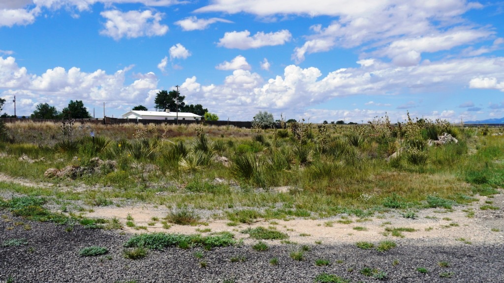 Willard Town lot for sale