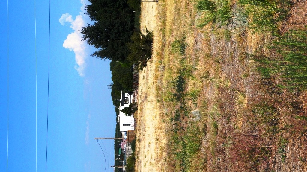 South Fork Colorado land for sale