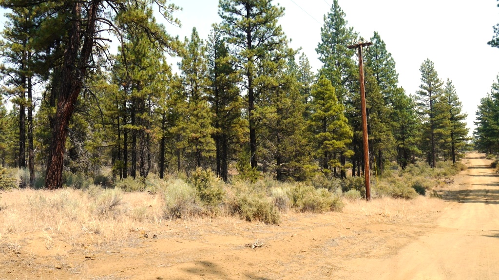 Klamath County Oregon land for sale real estate