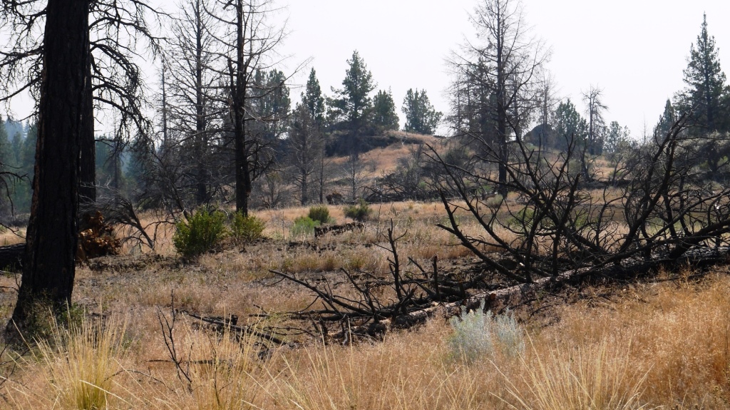 Klamath Forest Estates Oregon real Estate land