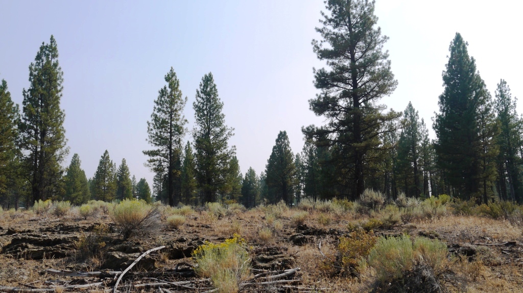 Klamath County Oregon land for sale real estate