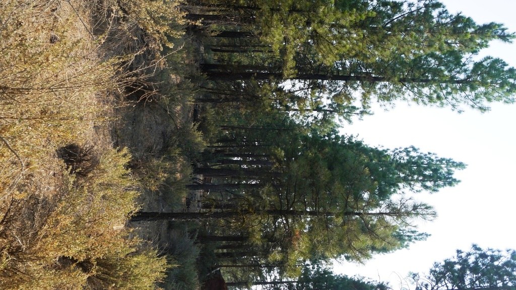 Klamath County Oregon land for sale real estate