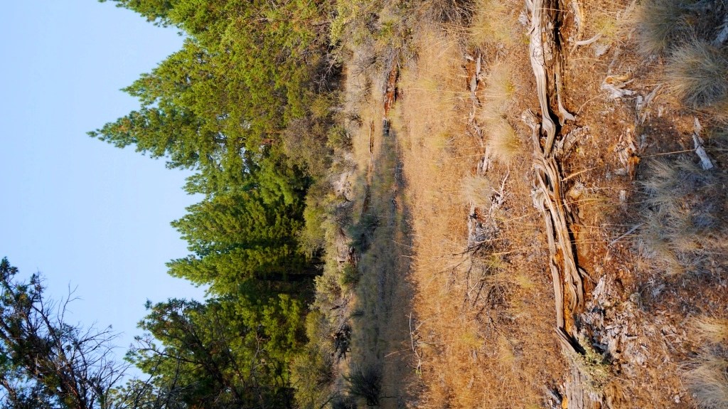 Klamath County Oregon land for sale real estate