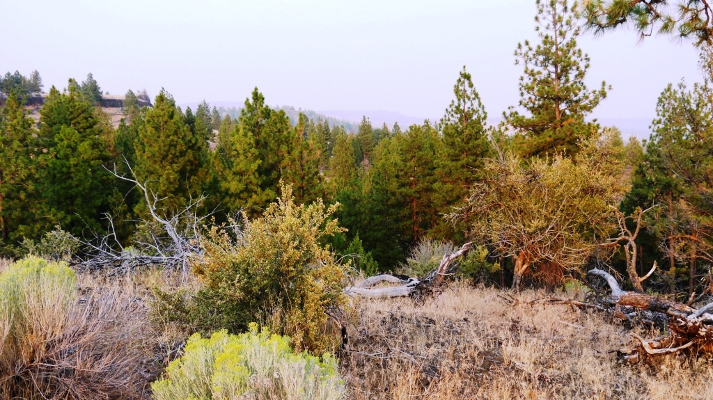 Klamath County Oregon land for sale real estate