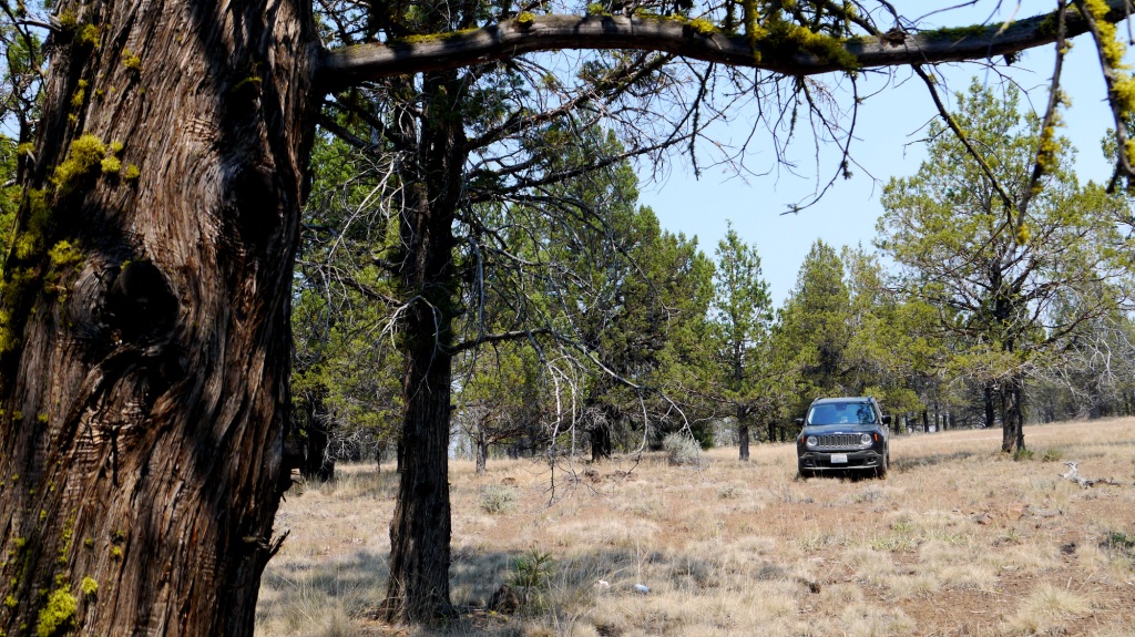 Klamath County Oregon land for sale real estate