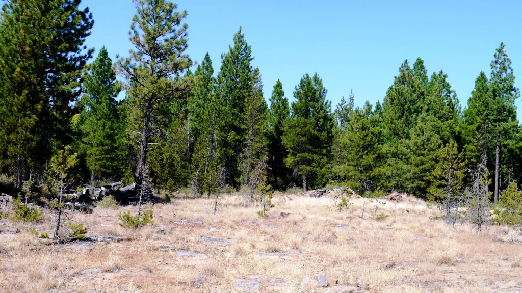 Klamath County Oregon land for sale real estate