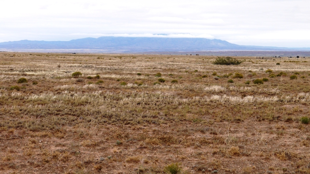 Socorro New Mexico Land for sale
